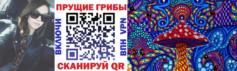 Псилоцибиновые грибы мицелий Искитим